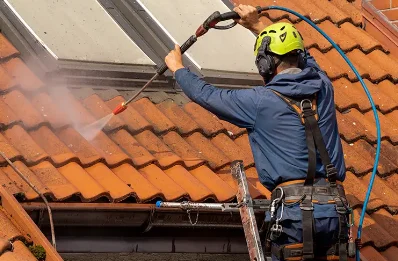 Démoussage et hydrofuge de toiture à Arinthod